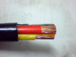 山西天成元電纜頻現質量問題遭重罰，行業警鐘再次敲響