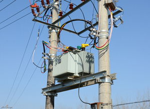 質量警鐘長鳴 臺力電氣因質量問題被國網停標2個月